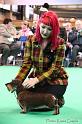 Crufts2011_2 1630